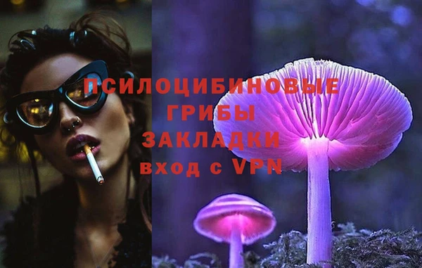 гидра Алзамай