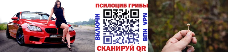наркошоп  Зуевка  Галлюциногенные грибы ЛСД 